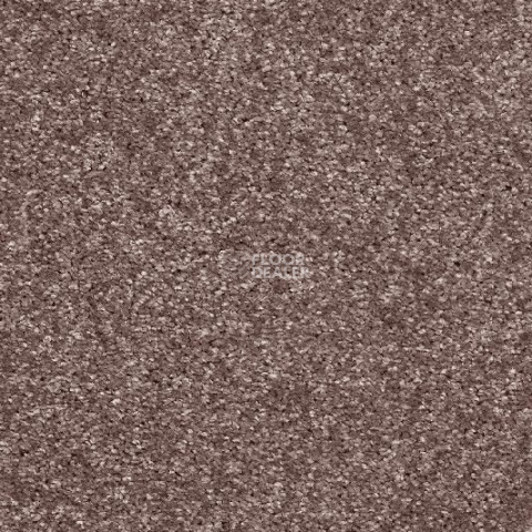 Ковролин AW Invictus Atticus Atticus 60 фото 1 | FLOORDEALER